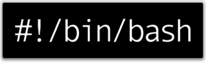 bash_logo